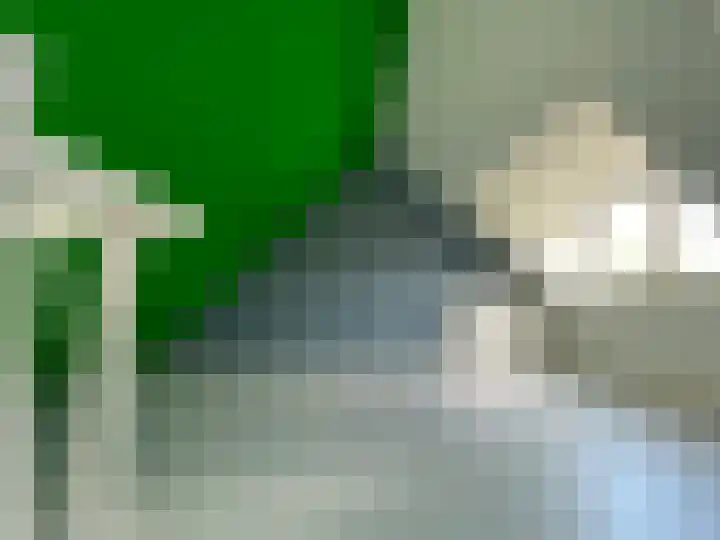 Hegdambroek 1060 Nijmegen thumbnail 21