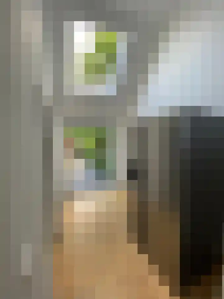 Hegdambroek 1060 Nijmegen thumbnail 4