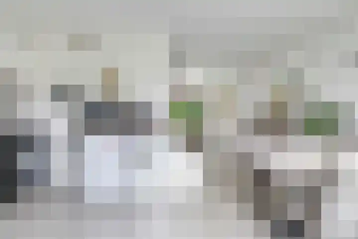 Hegdambroek 1206 Nijmegen thumbnail 10