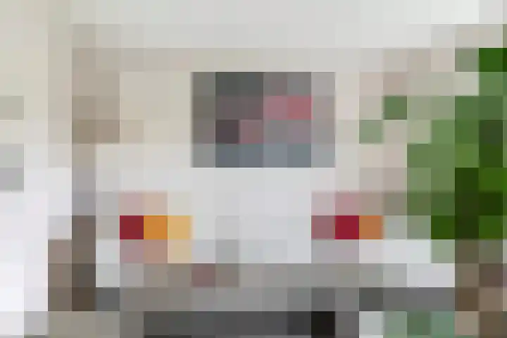 Hegdambroek 1206 Nijmegen thumbnail 12