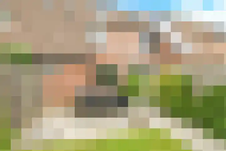 Hegdambroek 1206 Nijmegen thumbnail 17