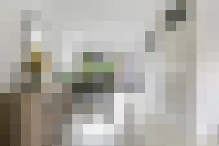 Hegdambroek 1206 Nijmegen thumbnail 4