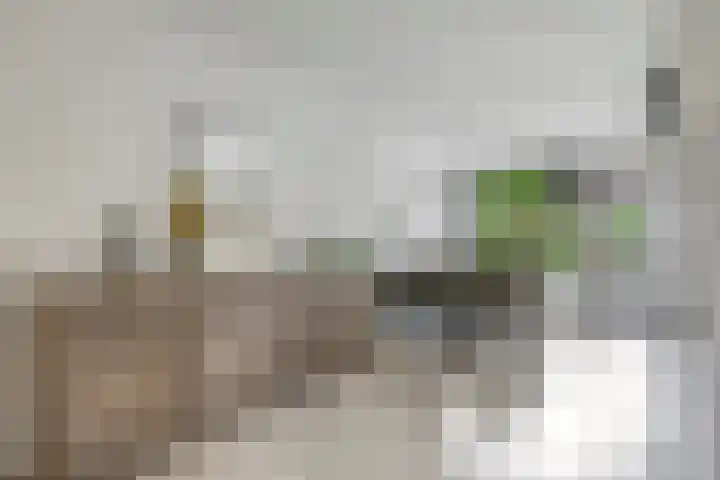 Hegdambroek 1206 Nijmegen thumbnail 5