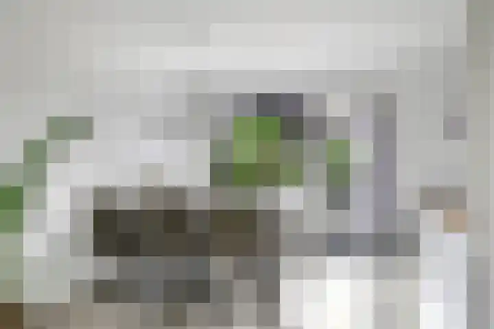 Hegdambroek 1206 Nijmegen thumbnail 6