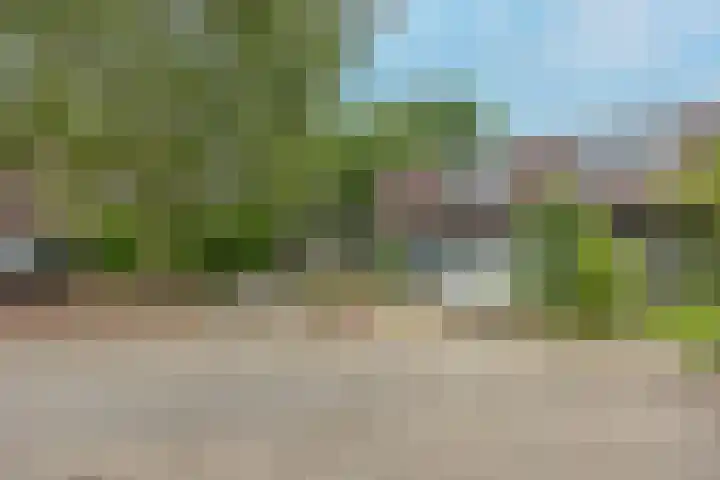 Hegdambroek 1306 A Nijmegen thumbnail 18