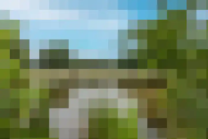 Hegdambroek 1306 A Nijmegen thumbnail 26