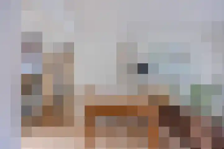 Hegdambroek 1306 A Nijmegen thumbnail 7