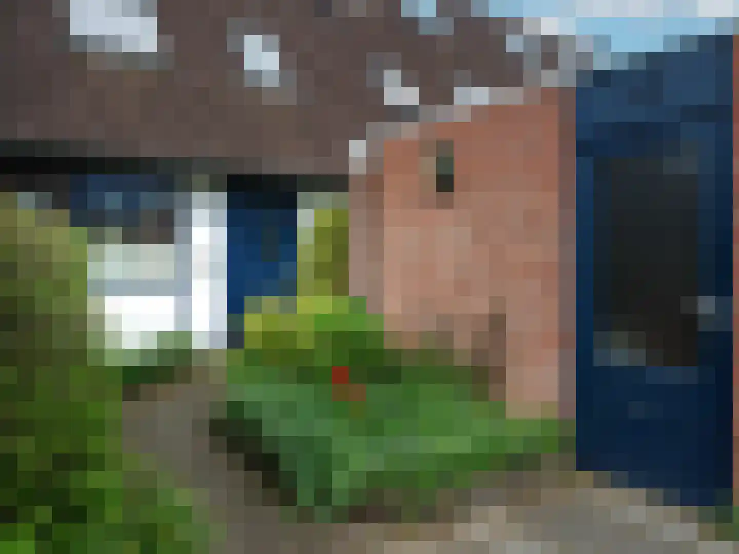 Hegdambroek 1315 Nijmegen thumbnail 27