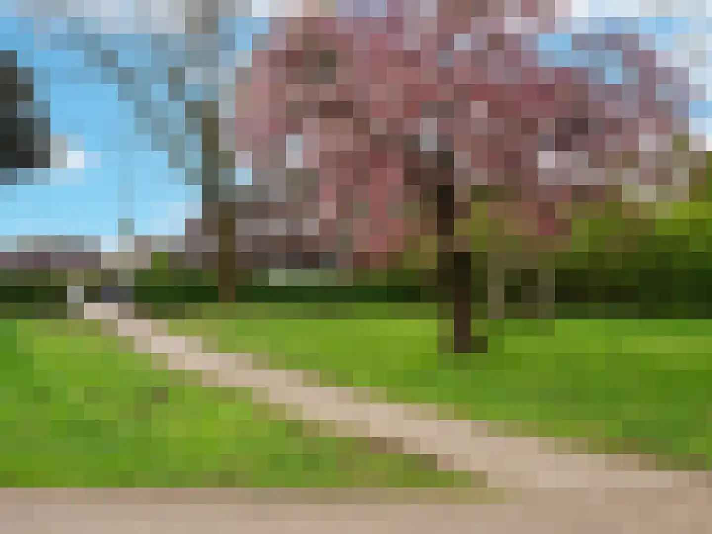 Hegdambroek 1315 Nijmegen thumbnail 29