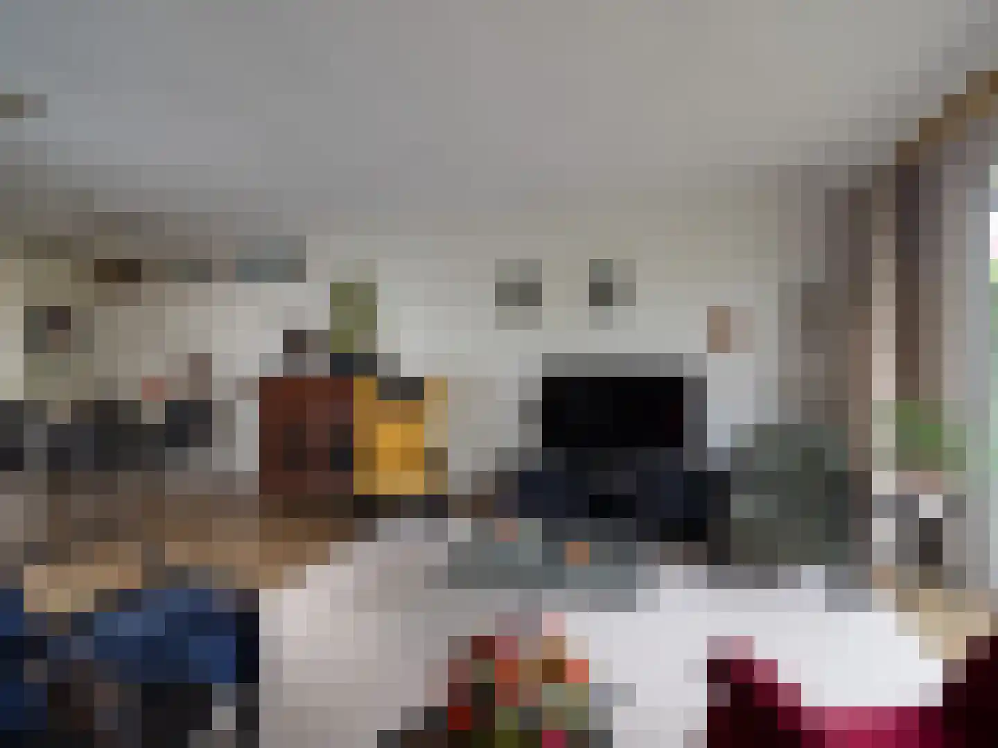Hegdambroek 1315 Nijmegen thumbnail 5