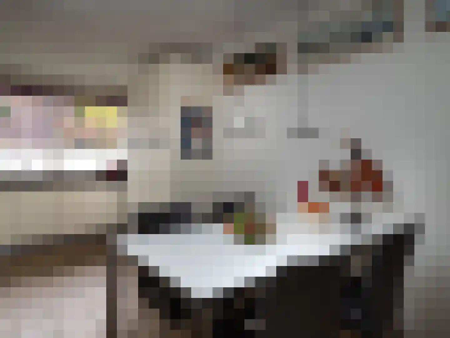 Hegdambroek 1315 Nijmegen thumbnail 6