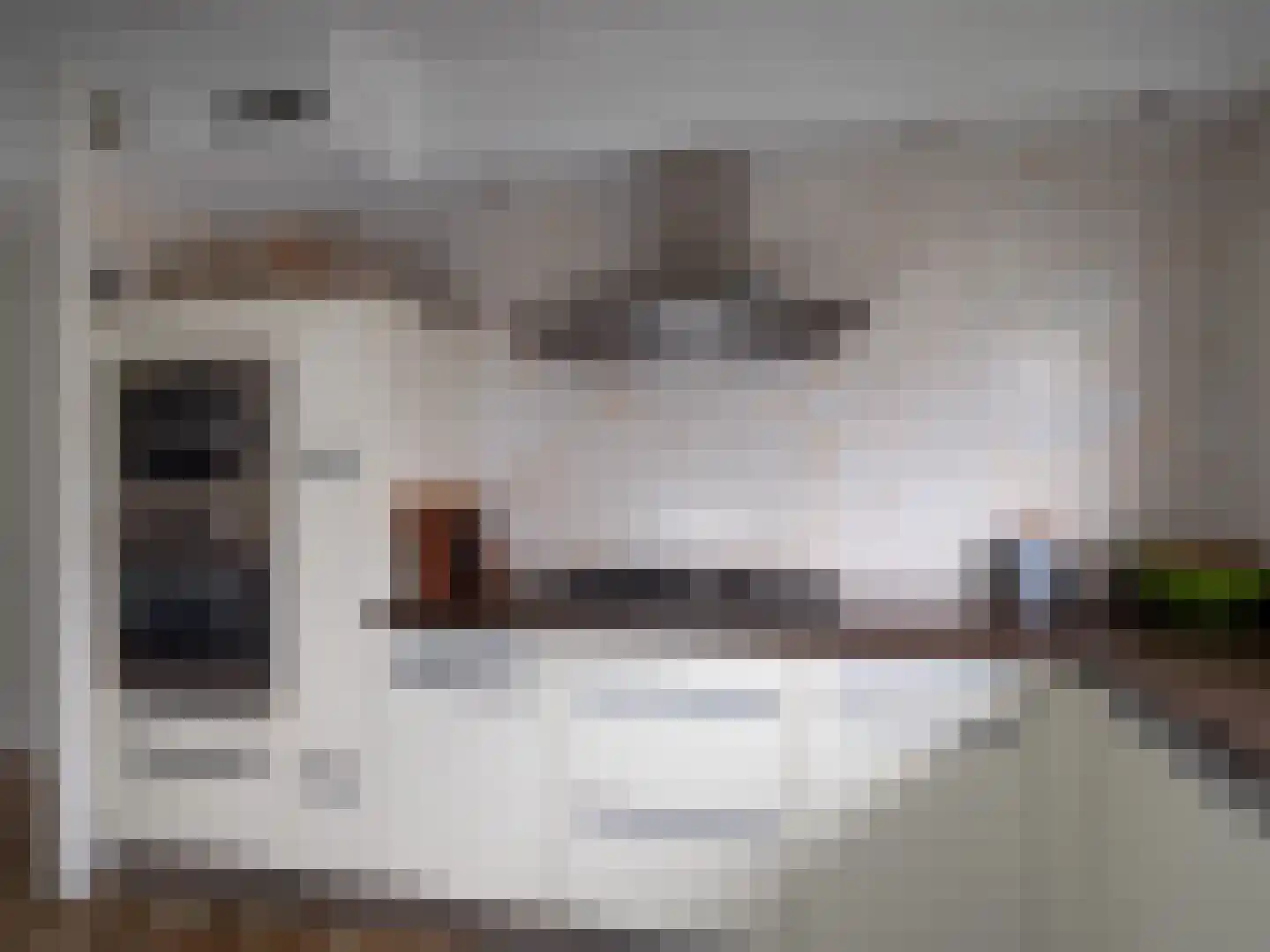 Hegdambroek 1315 Nijmegen thumbnail 8