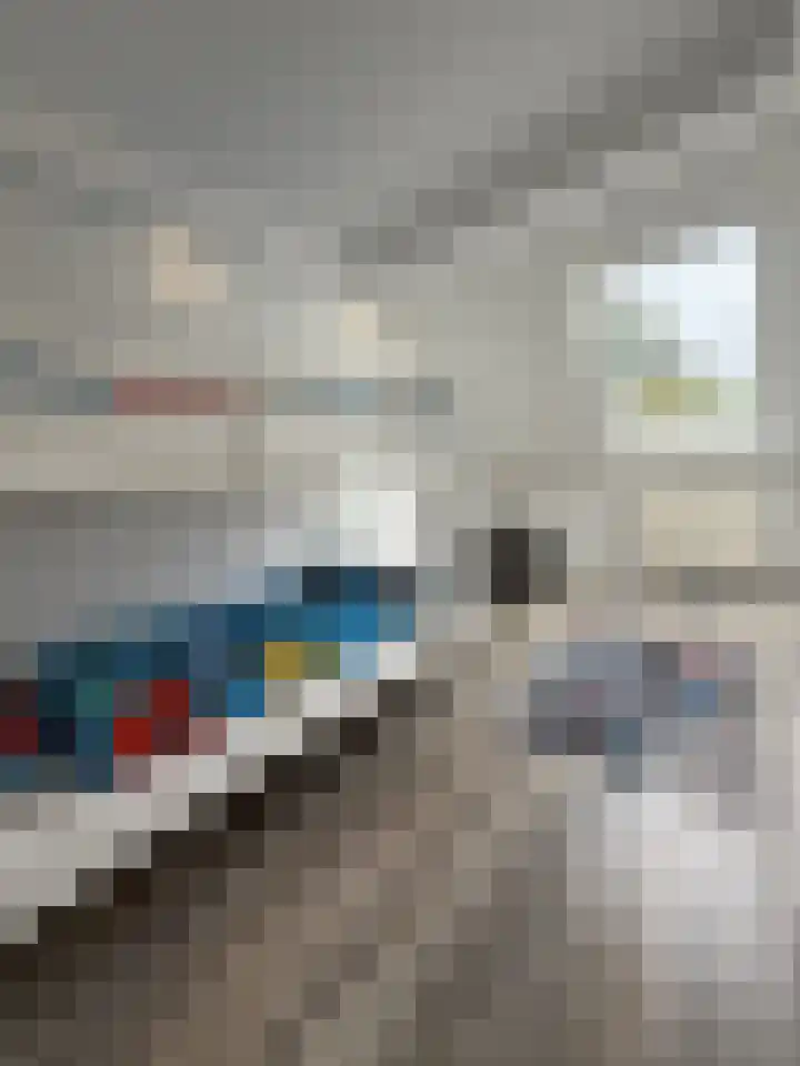 Hegdambroek 1517 Nijmegen thumbnail 10