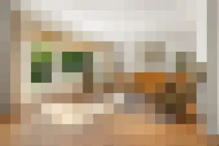 Hegdambroek 1616 Nijmegen thumbnail 14