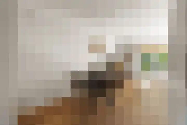 Hegdambroek 1616 Nijmegen thumbnail 25
