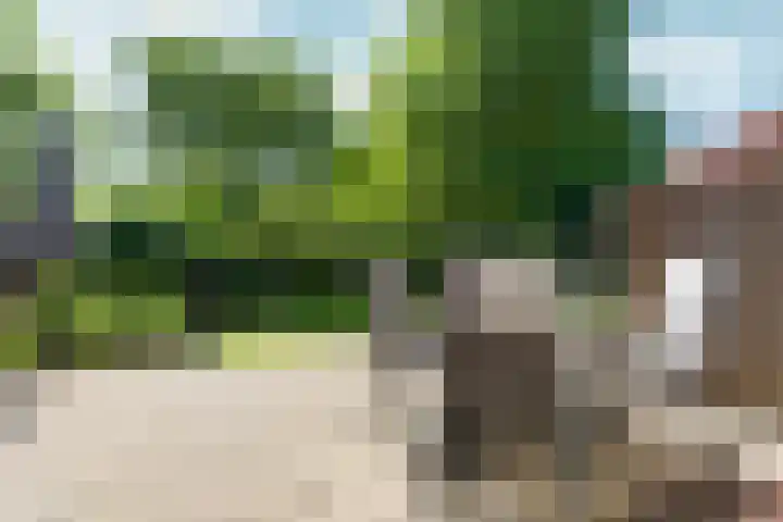 Hegdambroek 1616 Nijmegen thumbnail 45