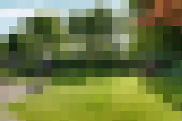 Hegdambroek 1616 Nijmegen thumbnail 48