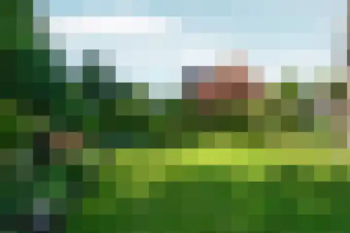 Hegdambroek 1616 Nijmegen thumbnail 51