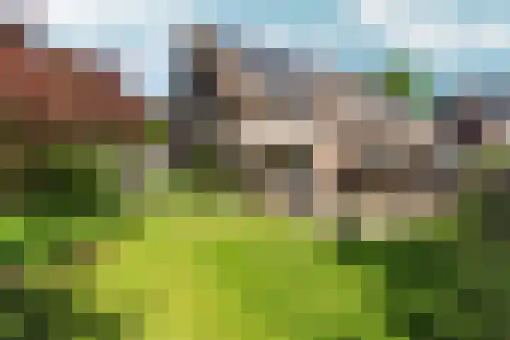 Hegdambroek 1616 Nijmegen thumbnail 52
