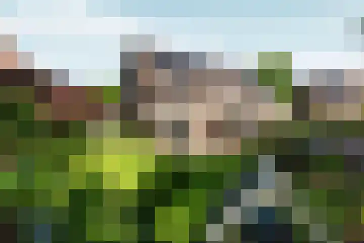 Hegdambroek 1616 Nijmegen thumbnail 57