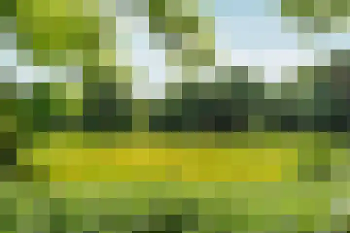 Hegdambroek 1616 Nijmegen thumbnail 60