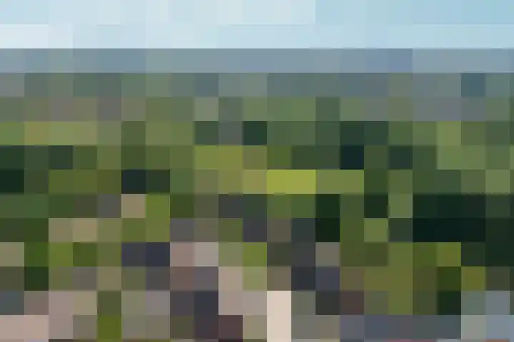 Hegdambroek 1616 Nijmegen thumbnail 62