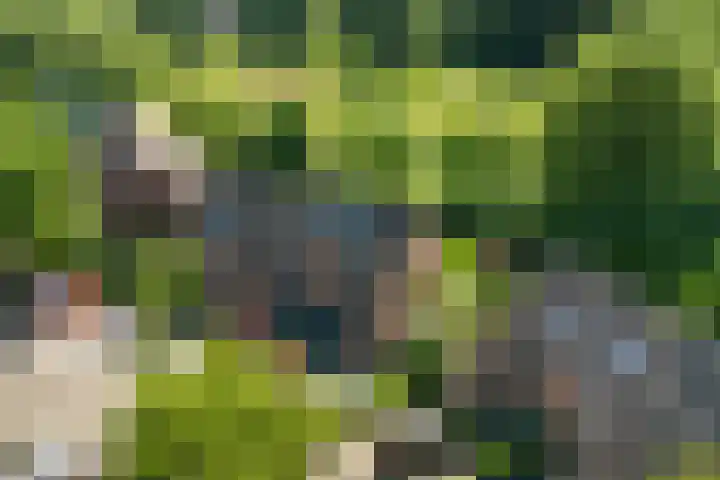 Hegdambroek 1616 Nijmegen thumbnail 7