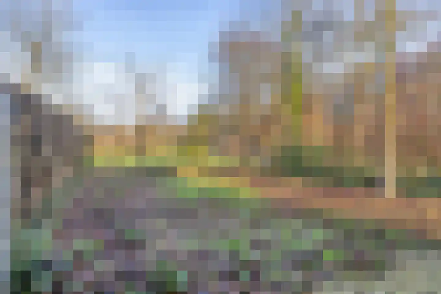 Hegdambroek 1632 Nijmegen thumbnail 28