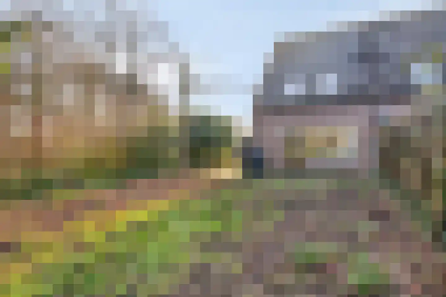 Hegdambroek 1632 Nijmegen thumbnail 31