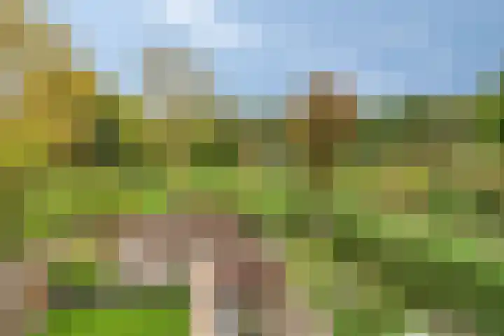 Hegdambroek 1716 Nijmegen thumbnail 25
