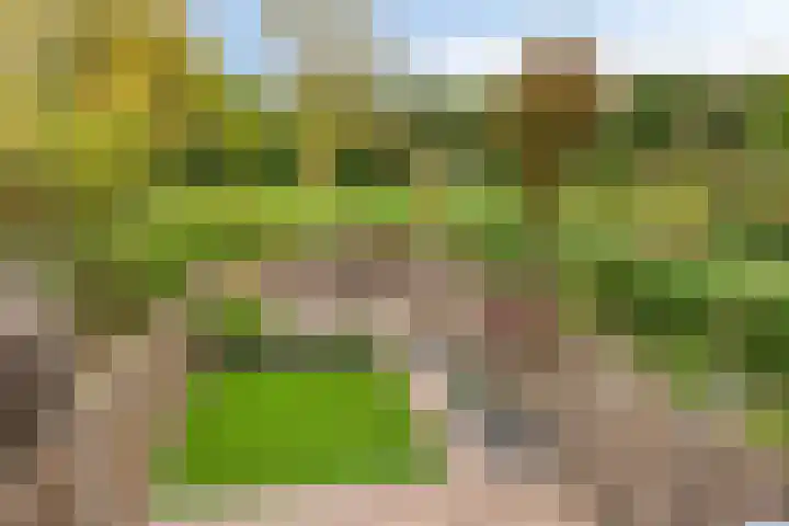 Hegdambroek 1716 Nijmegen thumbnail 26