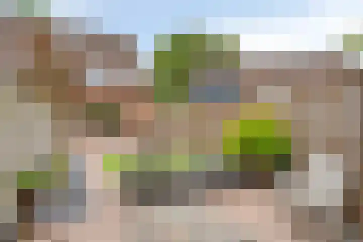 Hegdambroek 1716 Nijmegen thumbnail 28
