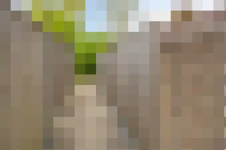 Hegdambroek 1716 Nijmegen thumbnail 31
