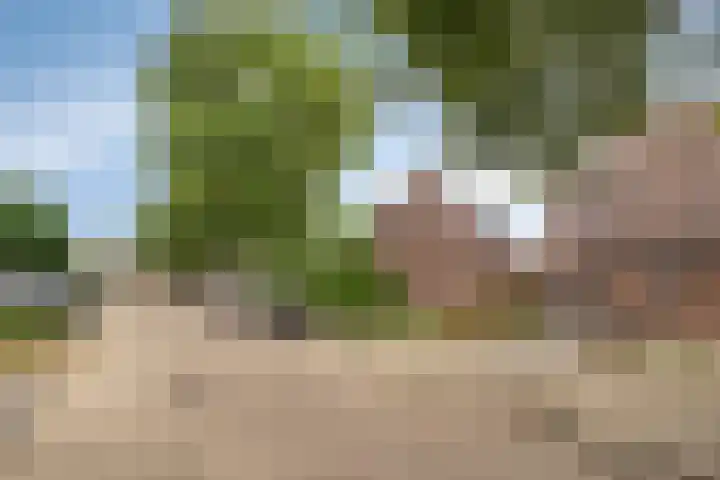 Hegdambroek 1716 Nijmegen thumbnail 34