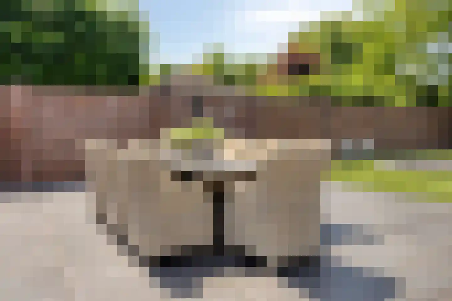 Hegdambroek 2215 Nijmegen thumbnail 71
