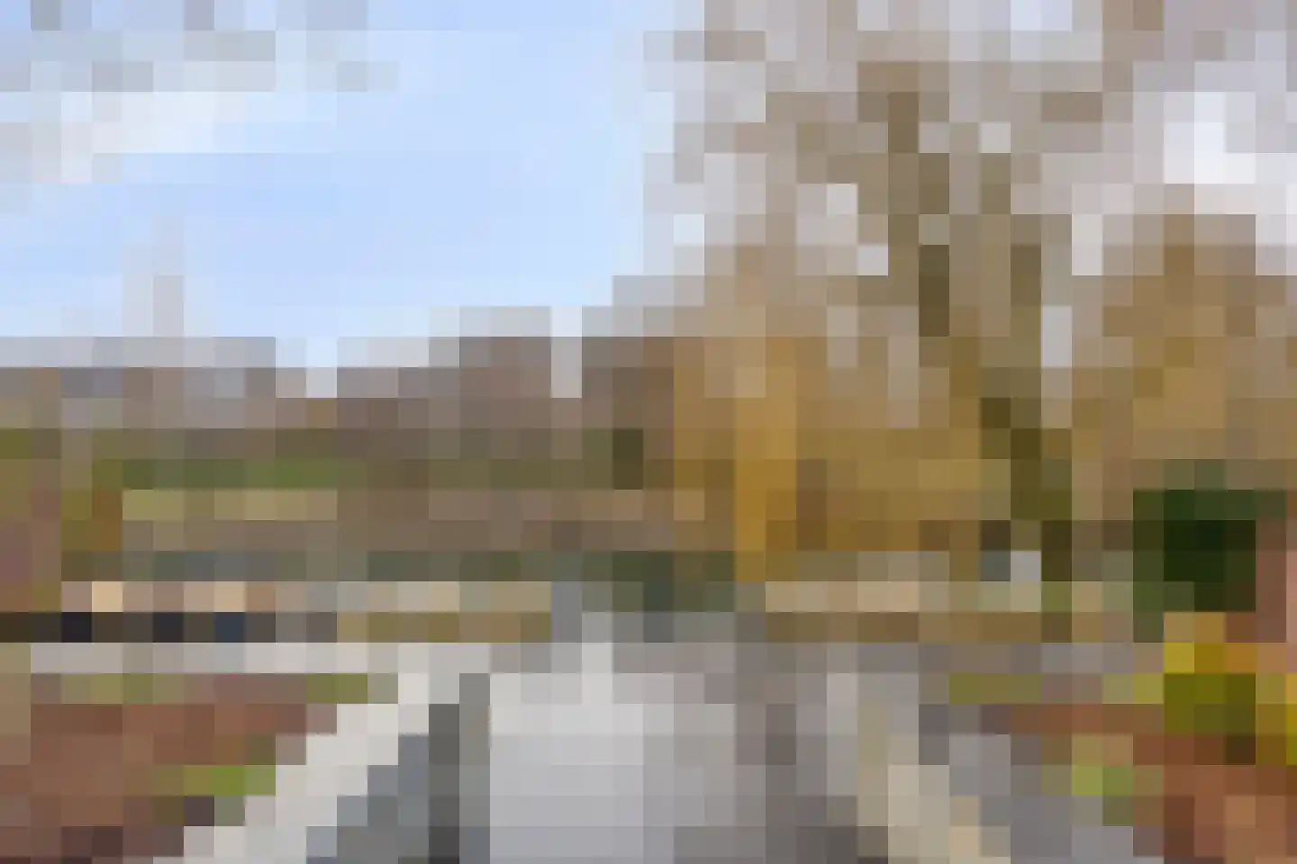 Hegdambroek 2215 Nijmegen thumbnail 75