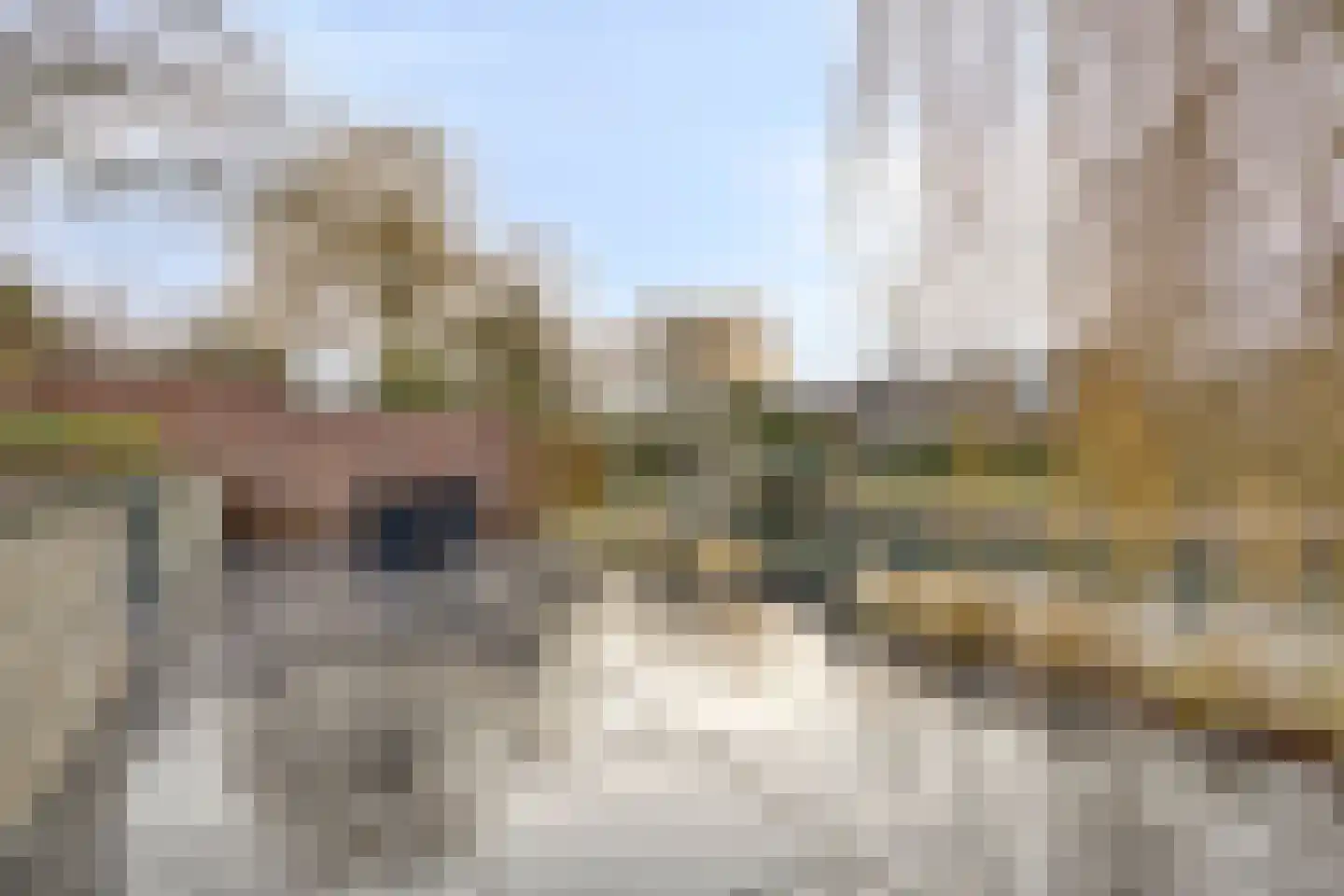 Hegdambroek 2215 Nijmegen thumbnail 76
