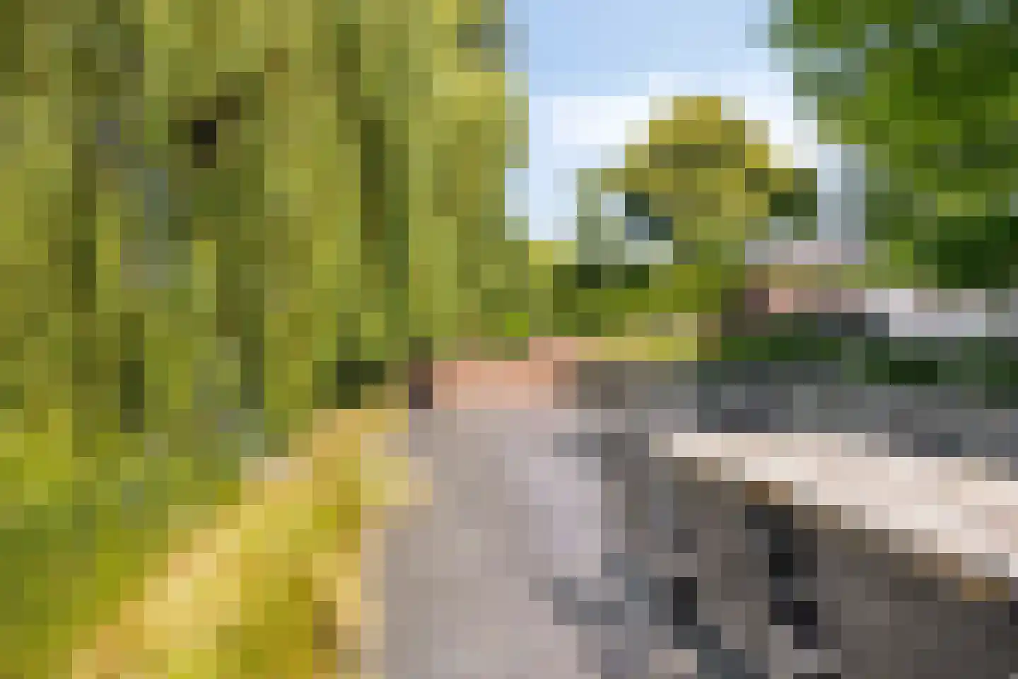 Hegdambroek 2215 Nijmegen thumbnail 76