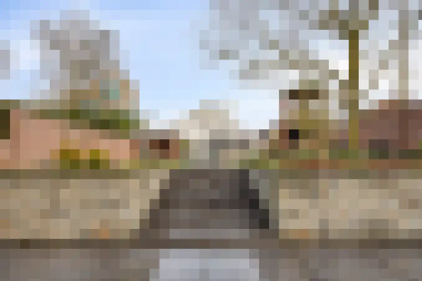 Hegdambroek 2215 Nijmegen thumbnail 78