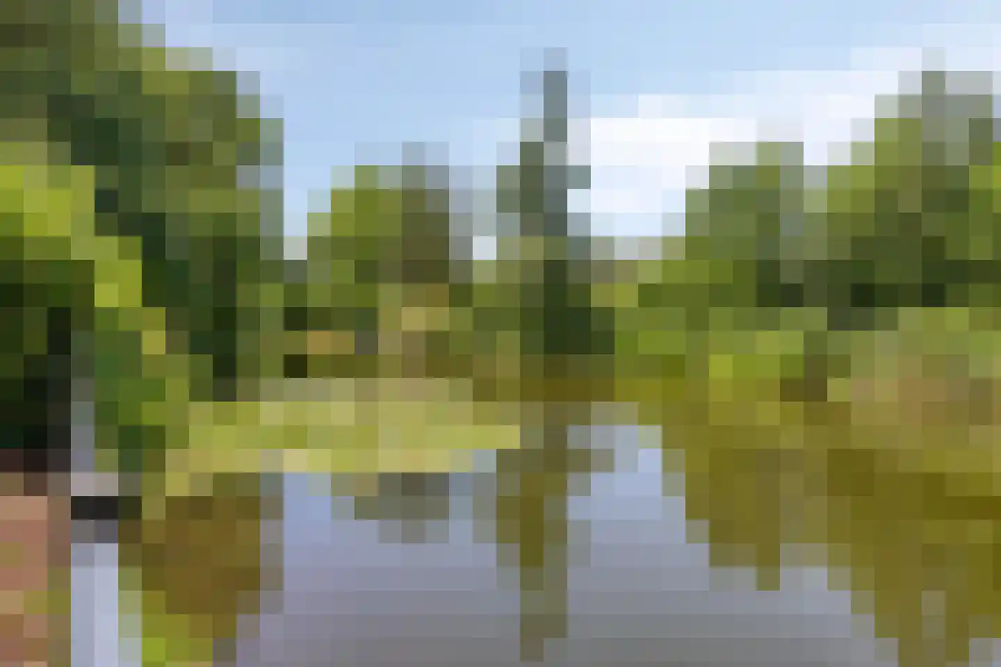 Hegdambroek 2215 Nijmegen thumbnail 78