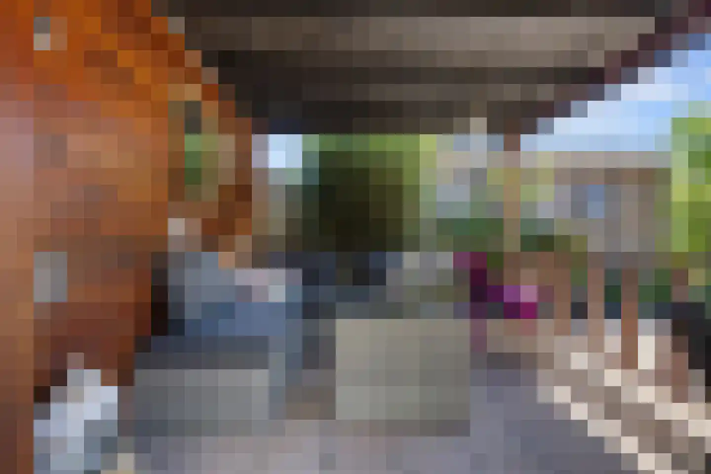 Hegdambroek 2505 Nijmegen thumbnail 48