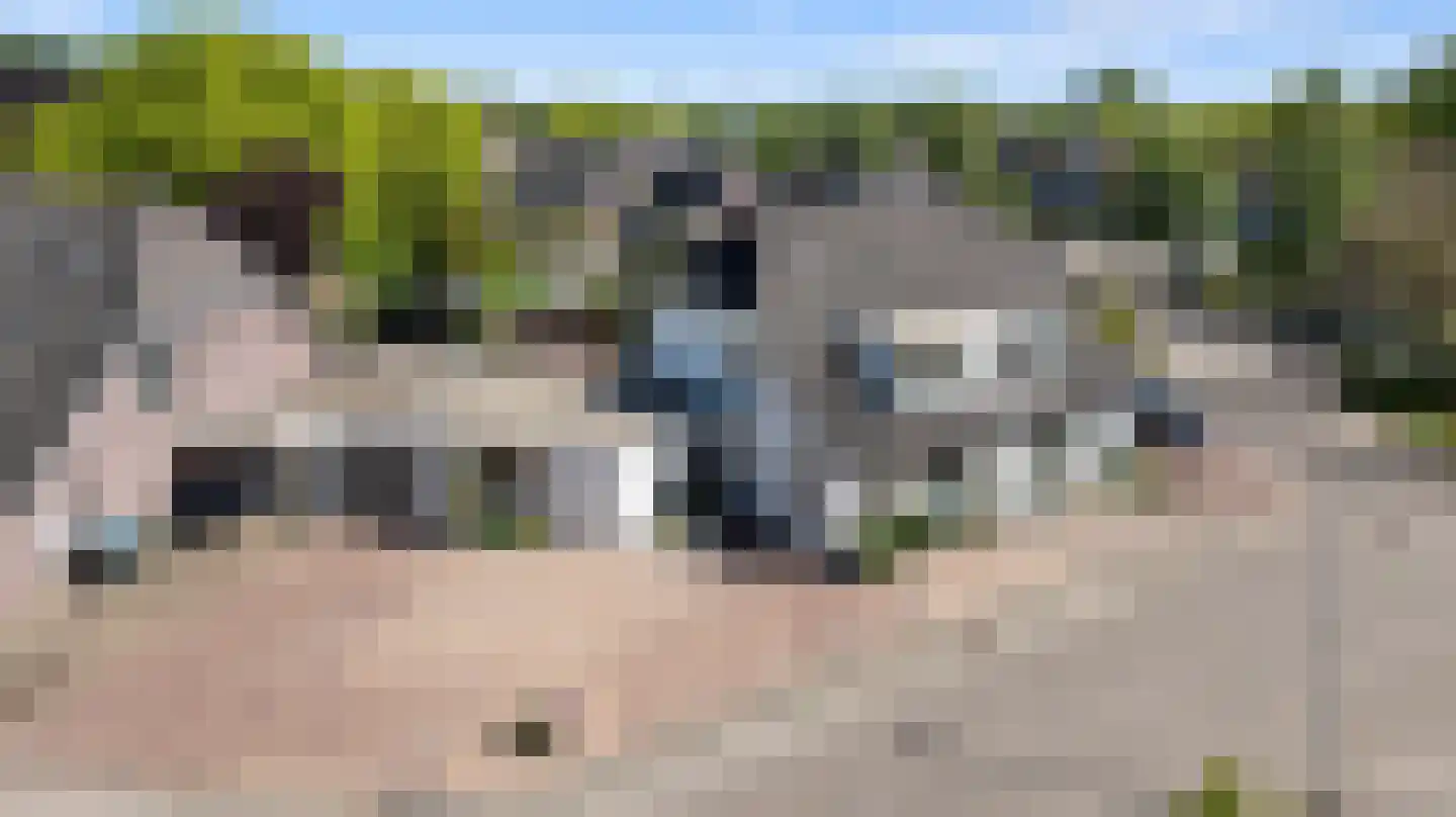 Hegdambroek 2505 Nijmegen thumbnail 56