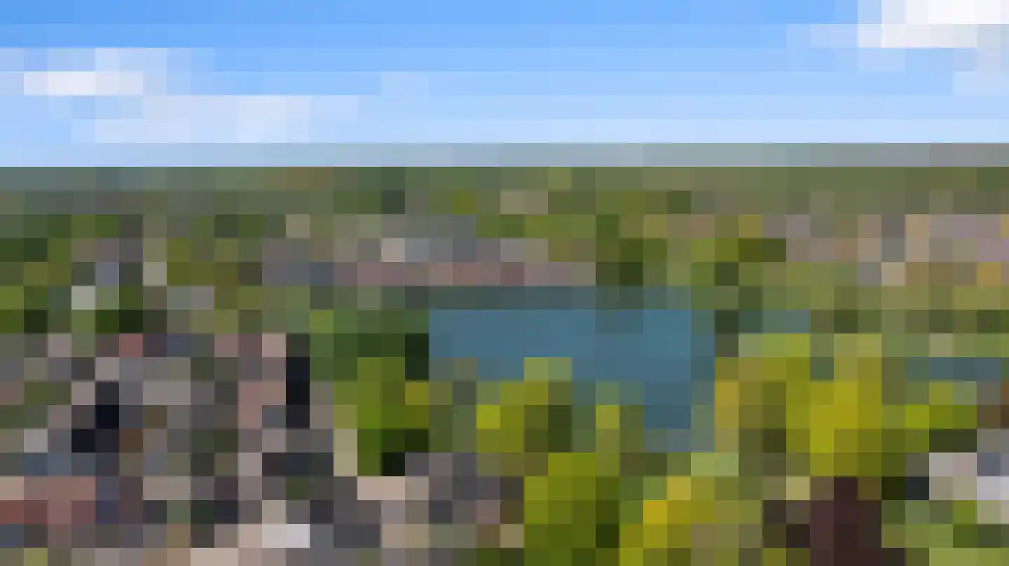 Hegdambroek 2505 Nijmegen thumbnail 63