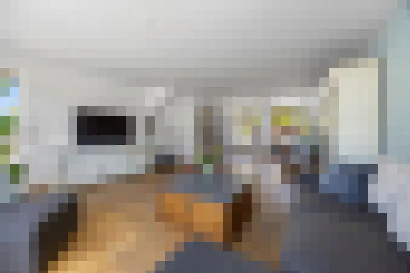 Hegdambroek 2505 Nijmegen thumbnail 9