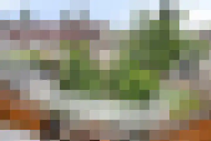 Hegdambroek 2552 Nijmegen thumbnail 12