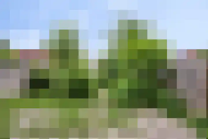 Hegdambroek 2552 Nijmegen thumbnail 20