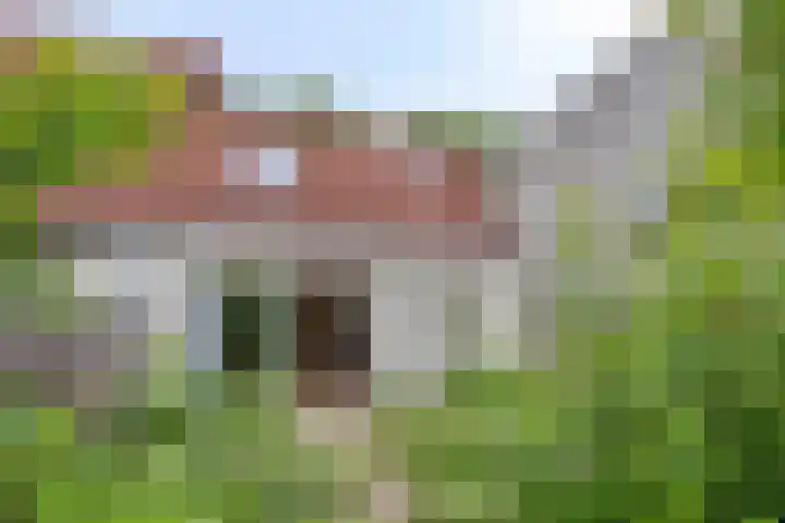 Hegdambroek 2552 Nijmegen thumbnail 21