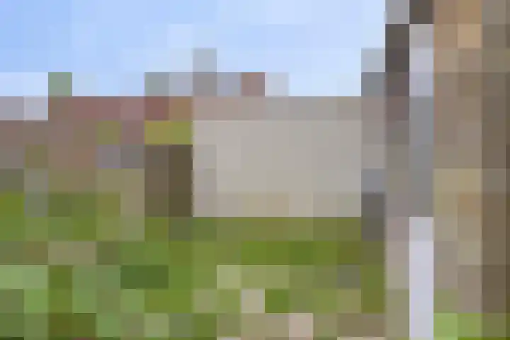 Hegdambroek 2552 Nijmegen thumbnail 22