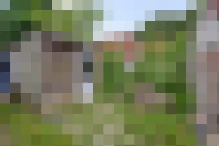 Hegdambroek 2552 Nijmegen thumbnail 23