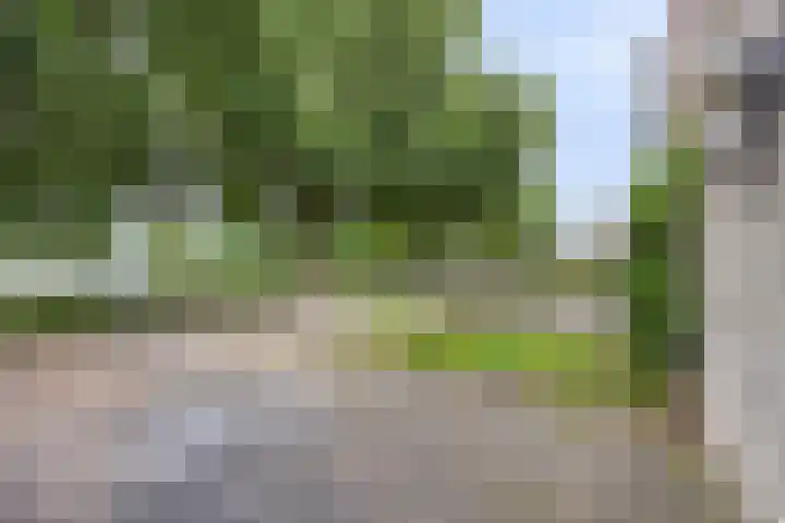 Hegdambroek 2552 Nijmegen thumbnail 24